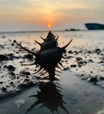 shankholiya-point