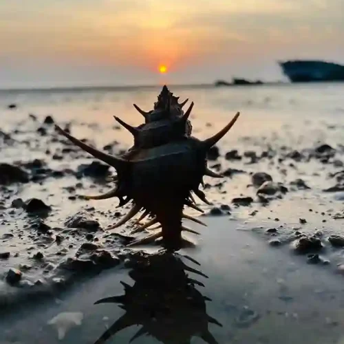 shankholiya-point